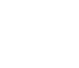 Republic Of Gamers