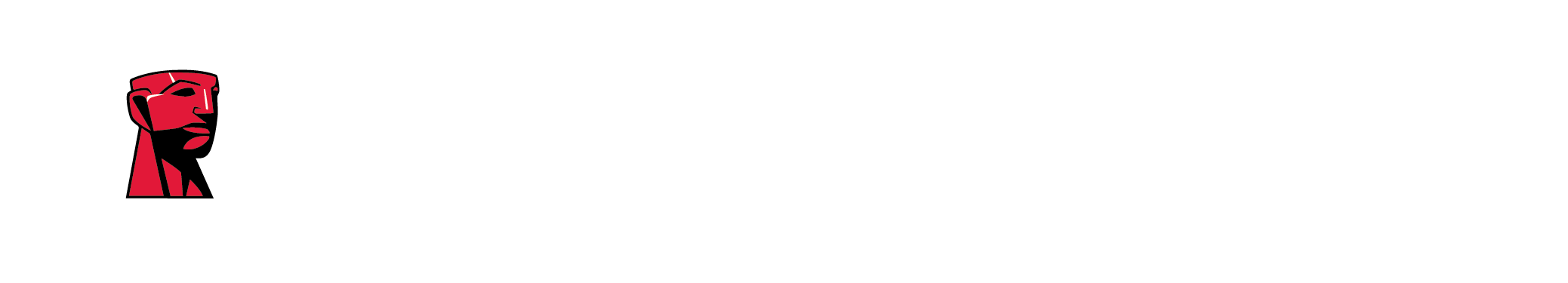 Kingston Logo