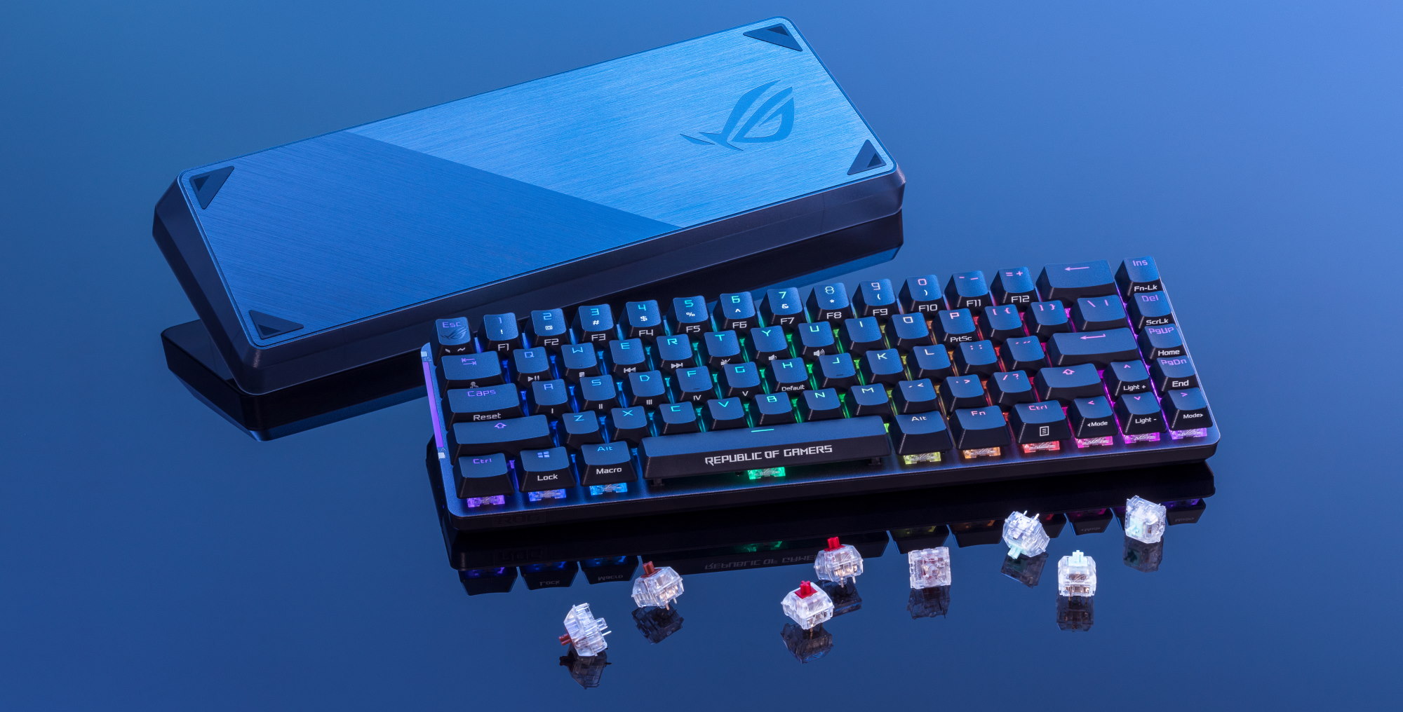 ROG NX & ROG RX Switches: Mechanische Tastatur Switches 