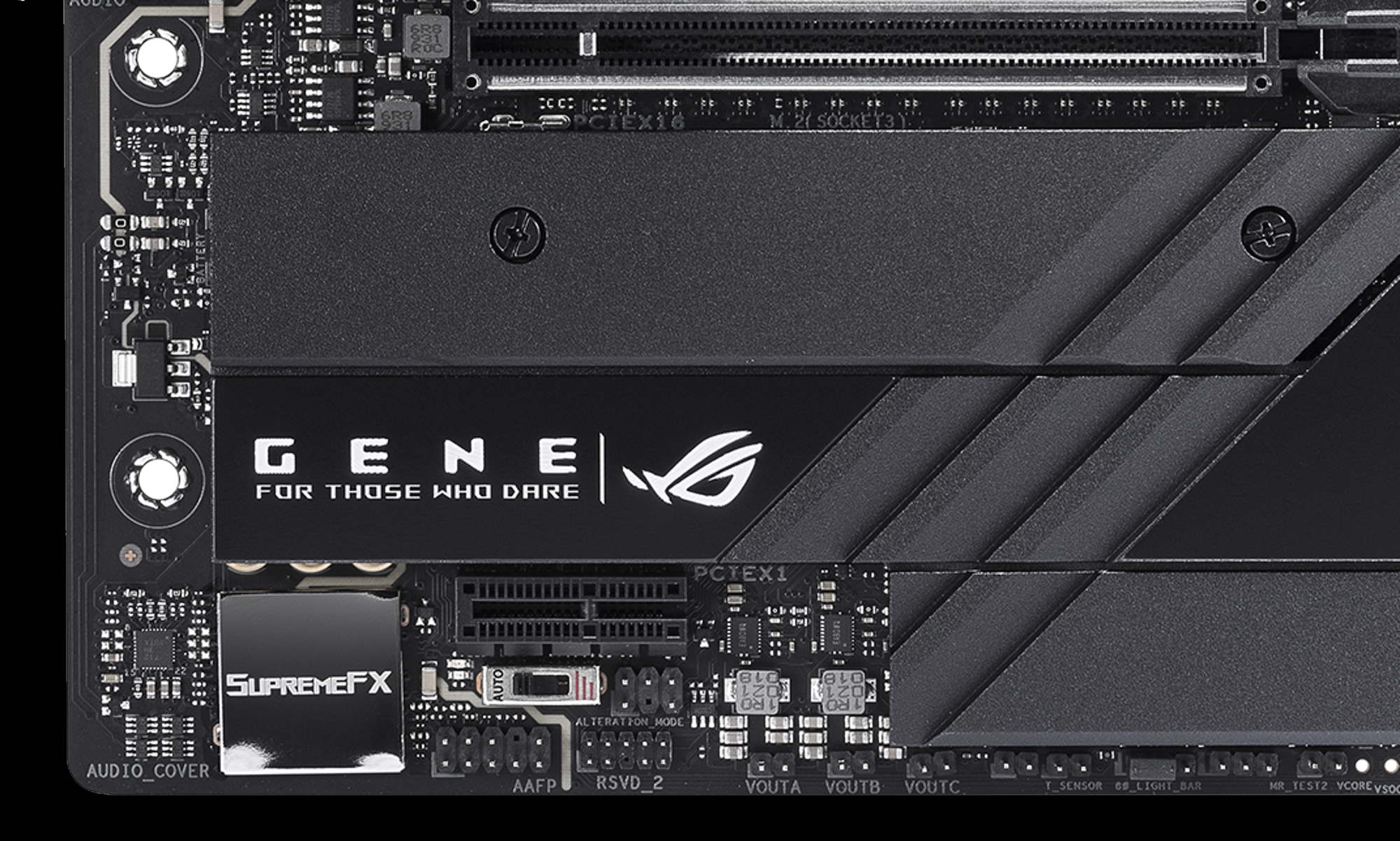 gene