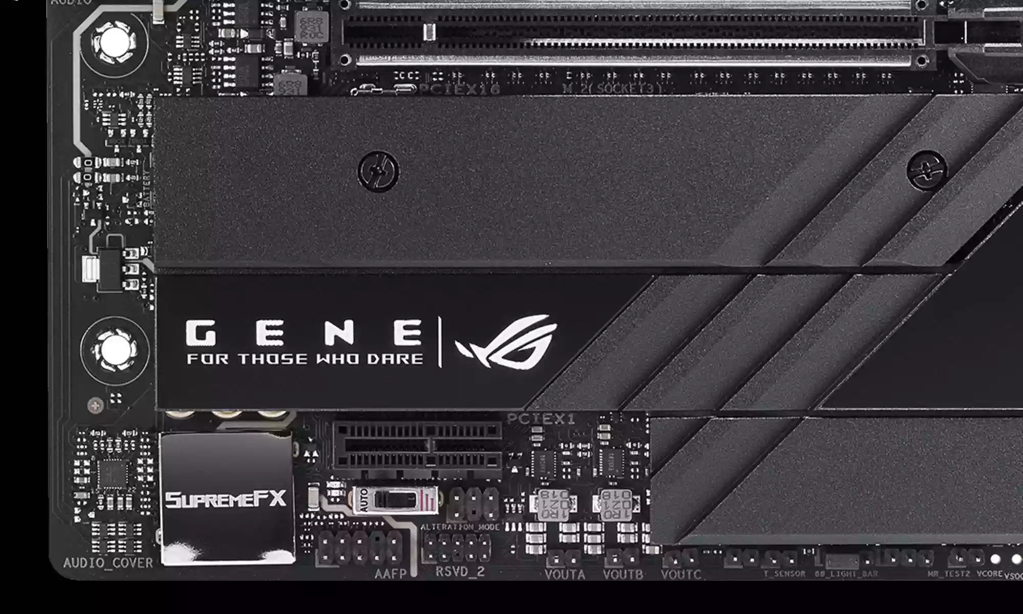 gene