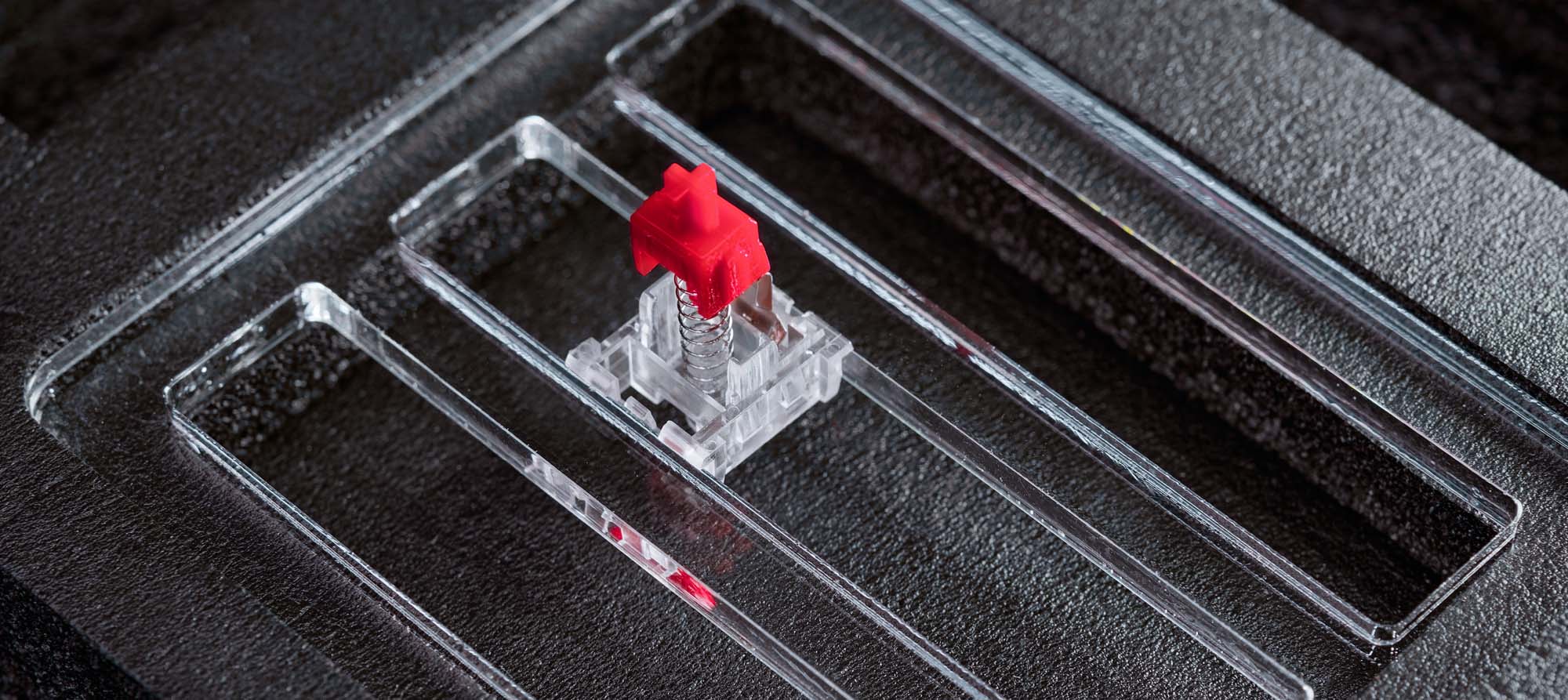 A disassembled keyboard switch sitting in the ROG lubing station.